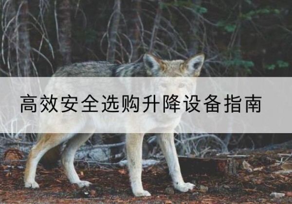 鲅鱼圈升降货梯厂家推荐-*安全选购升降设备指南