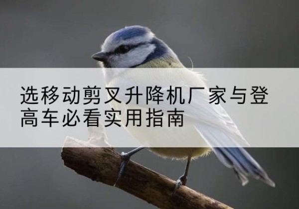 鲅鱼圈电动升降机厂家-选移动剪叉升降机厂家与登高车必看实用指南